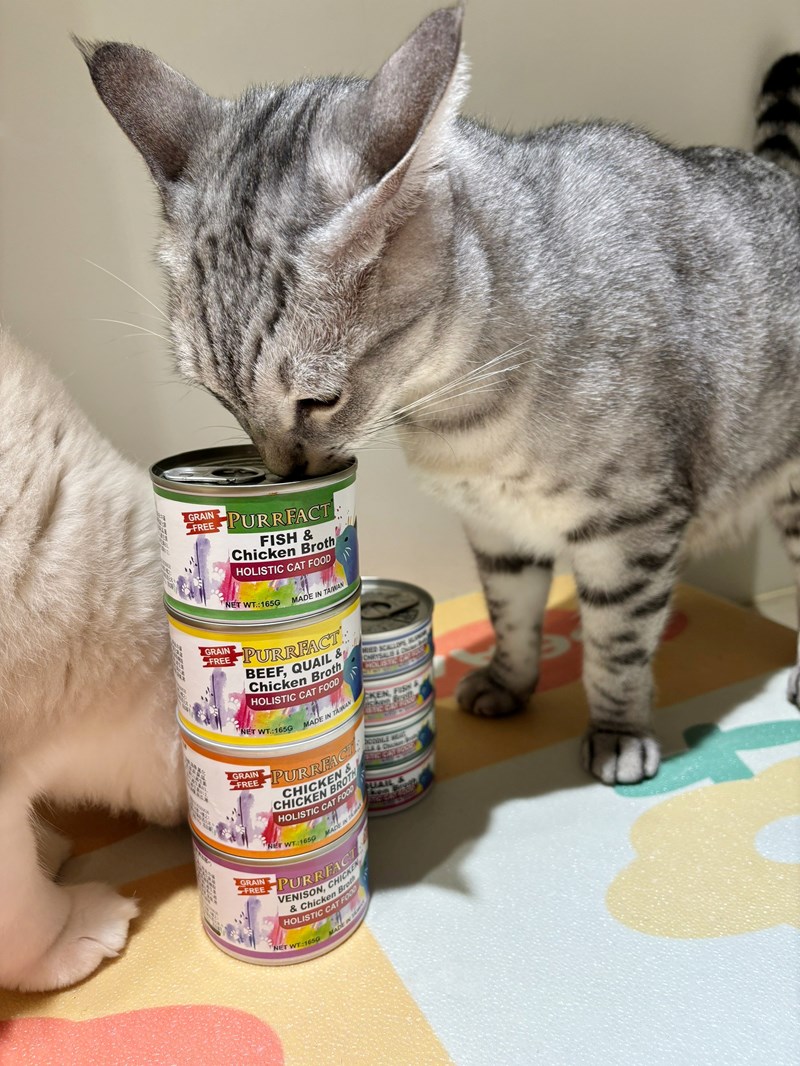 女人知己試用大隊,口碑行銷,部落客行銷,PURRFACT 波菲特貓用主食罐,主食罐,PURRFACT波菲特,貓主食罐,貓罐,PURRFACT波菲特貓用主食罐,魚肉蔓越莓主食罐,鮮嫩雞主食罐,鹿肉雞肉主食罐,牛肉鵪鶉貓主食罐,干貝蠶蛹配方,鱷魚肉白木耳配方,雞肉魚肉配方,安心鶉配方,評價,體驗,適口性佳,心得,成貓適用,高齡貓適用,質地是慕絲狀